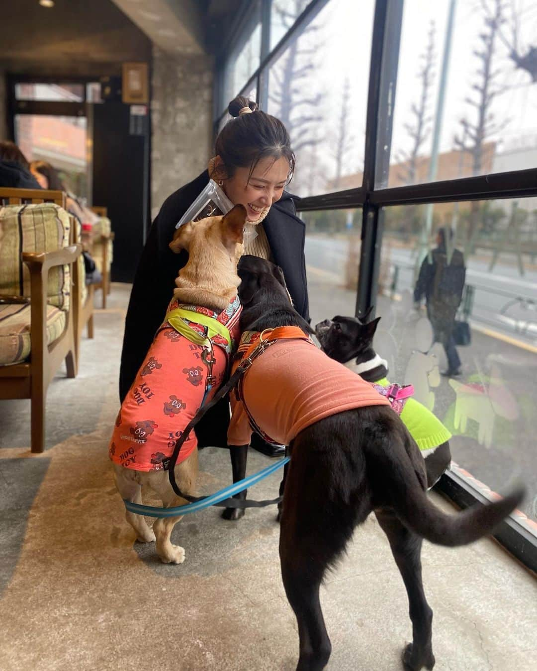 三津谷葉子さんのインスタグラム写真 - (三津谷葉子Instagram)「先日 やっとマキちゃまの愛娘達に会えました🐶  みーんな性格が良くて、人懐っこい。 可愛い可愛い可愛い🥹🫶🏻💕  ストーリーでは三姉妹みんな保護っ子ちゃんと言ってしまったのですが、、 小春は譲渡犬でココワカメちゃんとぶーちゃんが保護っ子でした☺️  マキちゃまは@wolf_lady_を立ち上げて 可愛い保護動物達をもっと身近に感じてもらえるような、スタイリッシュで素敵なイベントを企画・開催しているんです🥹👍 そのほかでも、さまざまなカタチでわんちゃんの支援を行っています🐶  素晴らしいですね😭  また近々、三姉妹とマキちゃまに会いに行こう♡♡♡」1月26日 18時22分 - yoko_mitsuya