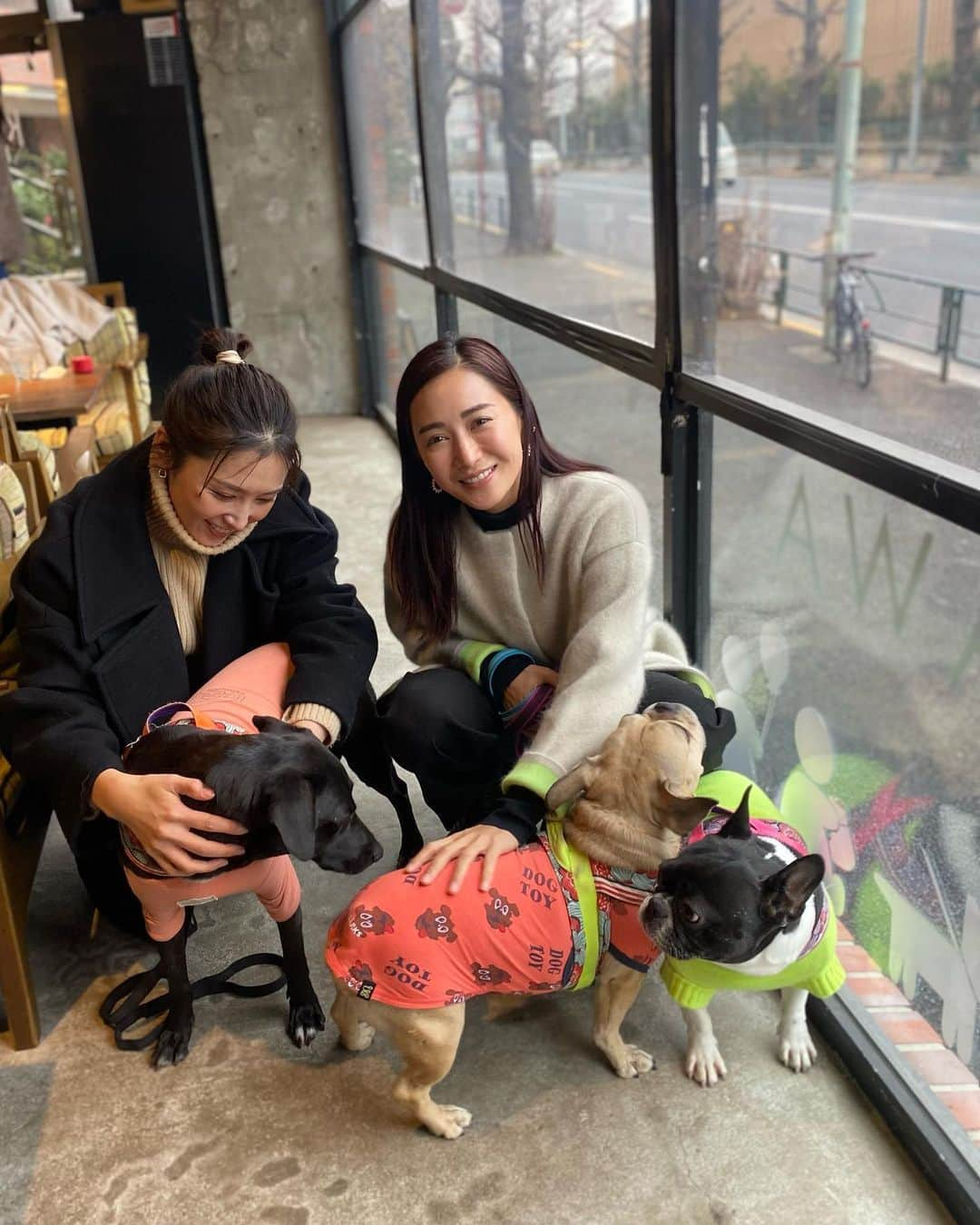 三津谷葉子のインスタグラム：「先日 やっとマキちゃまの愛娘達に会えました🐶  みーんな性格が良くて、人懐っこい。 可愛い可愛い可愛い🥹🫶🏻💕  ストーリーでは三姉妹みんな保護っ子ちゃんと言ってしまったのですが、、 小春は譲渡犬でココワカメちゃんとぶーちゃんが保護っ子でした☺️  マキちゃまは@wolf_lady_を立ち上げて 可愛い保護動物達をもっと身近に感じてもらえるような、スタイリッシュで素敵なイベントを企画・開催しているんです🥹👍 そのほかでも、さまざまなカタチでわんちゃんの支援を行っています🐶  素晴らしいですね😭  また近々、三姉妹とマキちゃまに会いに行こう♡♡♡」