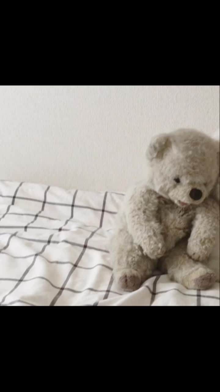 ゆうのインスタグラム：「. . 教えた記憶はないのに かくれんぼが上手だった🐻🐶🐻 . ママは見つけられなくて オヤツ🍪を使ってしまったよ🤭笑 . . . .  .」