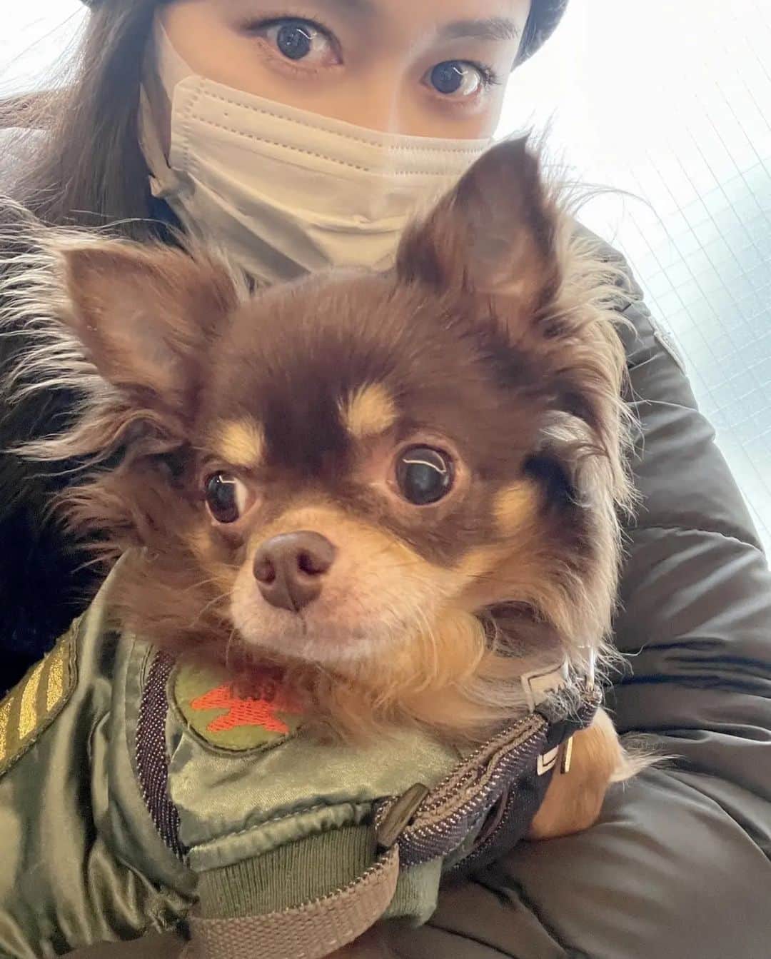 杉原杏璃のインスタグラム：「そういえば うちの王子🐶が先日15歳になりました✌︎ オメデトー🎉 元気すぎて嬉しいかぎりです❤️  いつまでもそばにいてほしいと♡ 今年も言い聞かせておきました✌︎ #愛犬 #誕生日」