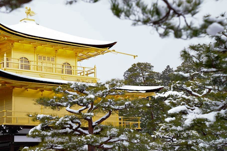 いぶくろ聖志のインスタグラム：「白銀世界の金閣  #camera #photography #japan #snow #kinkakuji #kyoto   #カメラ　#写真　#日本 #京都　#雪　#金閣寺」