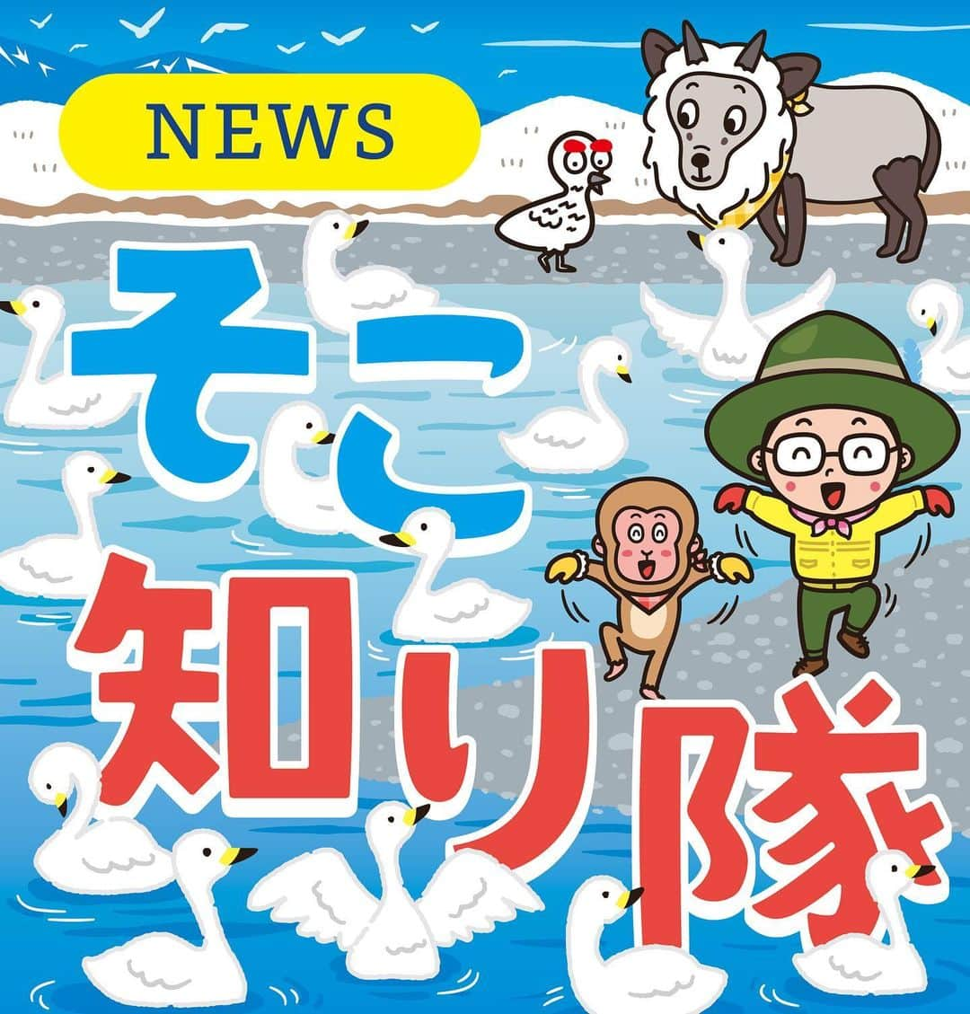 北沢直樹さんのインスタグラム写真 - (北沢直樹Instagram)「信濃毎日新聞『そこ知り隊』2023冬第2弾“犀川白鳥湖” ・ 今週月曜日から新しいイラストに変わってます✨ ・ #そこ知り隊 #信濃毎日新聞 #松茸 #上田 #信毎 #信州 #長野 #nagano #新聞 #カワイイ #イラスト #キャラクター #キャラ #newspaper #drawing #artworks #manga #character #cartoon #anime #illustration #kawaii #mydesign」1月26日 13時01分 - naoki_kitazawa