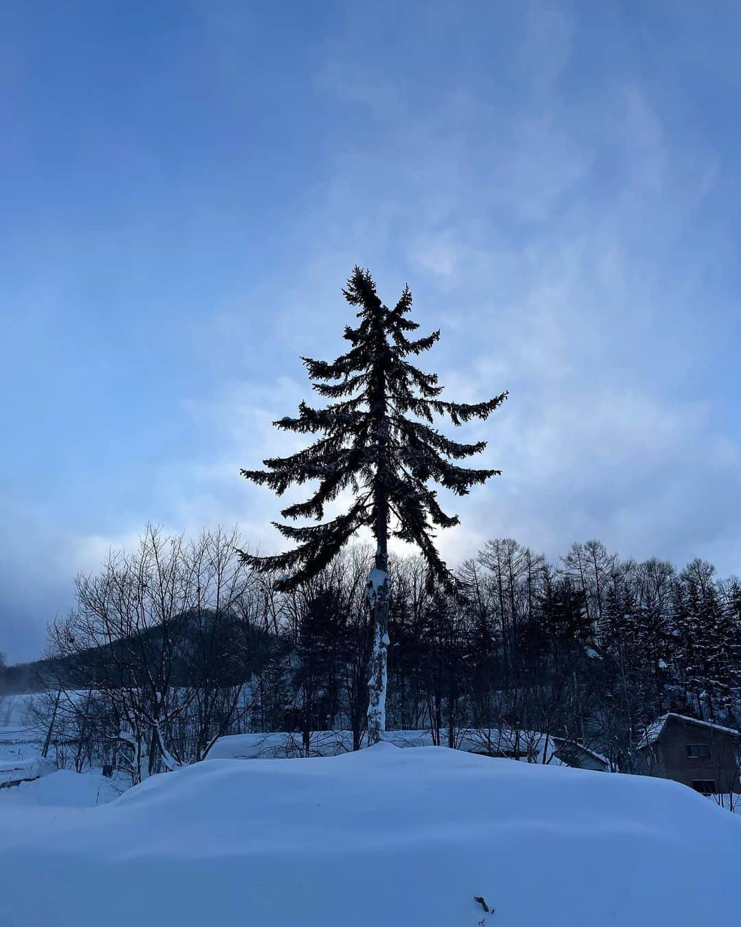 木村卓寛さんのインスタグラム写真 - (木村卓寛Instagram)「北海道のしばれる寒さに畏怖の念。」1月26日 13時09分 - tenshinkimura