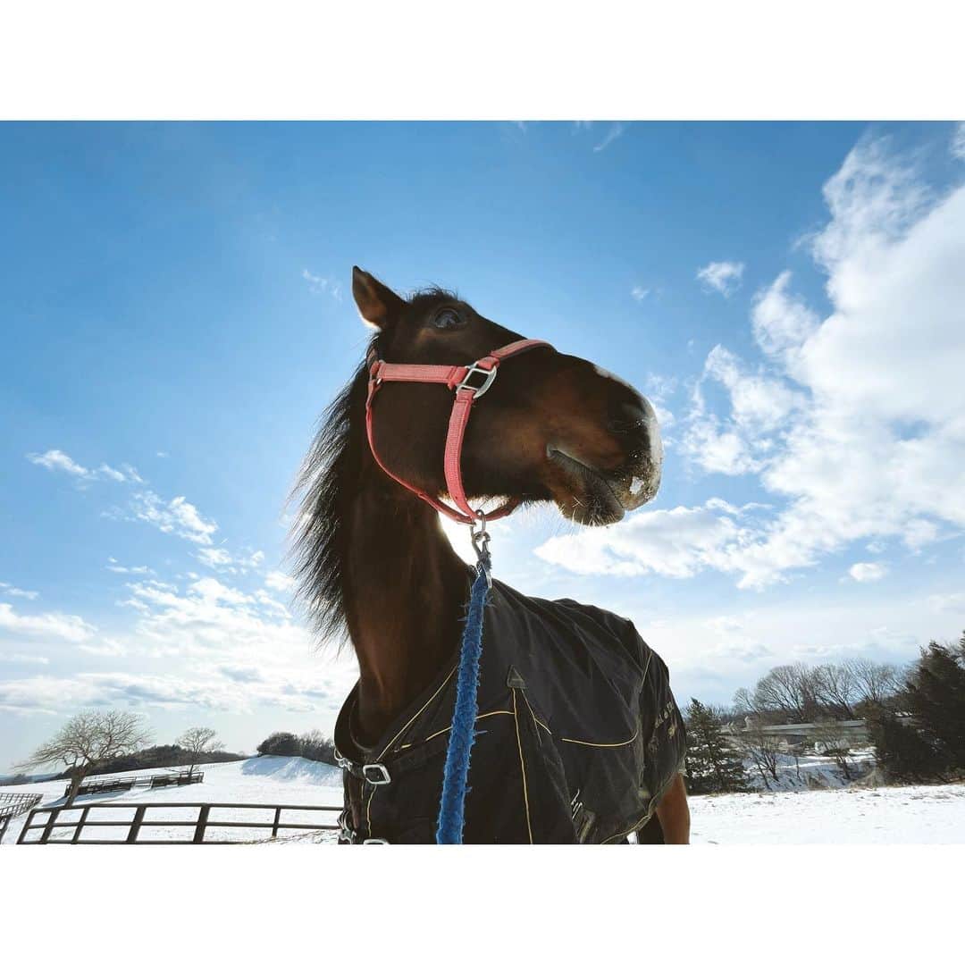 紗栄子のグルメインスタ