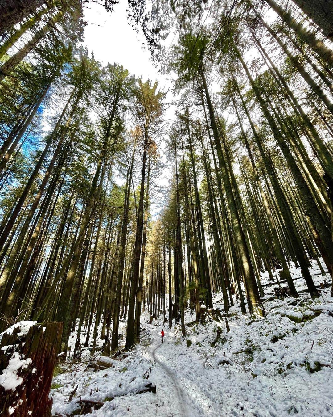 のインスタグラム：「Spending time outside has a way of bringing everything into perspective. I always feel more grounded, peaceful, and have a clearer head. As a competitive climber finding balance and spending time outside is critical for my mental health.  #BellLetsTalk #BellAthletesConnect」