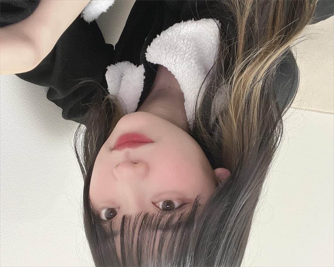 のインスタグラム：「もこもこの白襟かわい〜  自撮りむずいねえ🚗🚗=３  #17kg #もこもこ」