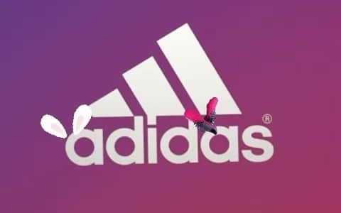 増山朝陽のインスタグラム：「今シーズンもadidasと共に挑みます🐇 カッコ可愛いピンク🫶  #勝手に制作してみた #adidas  #エックス #兎年」