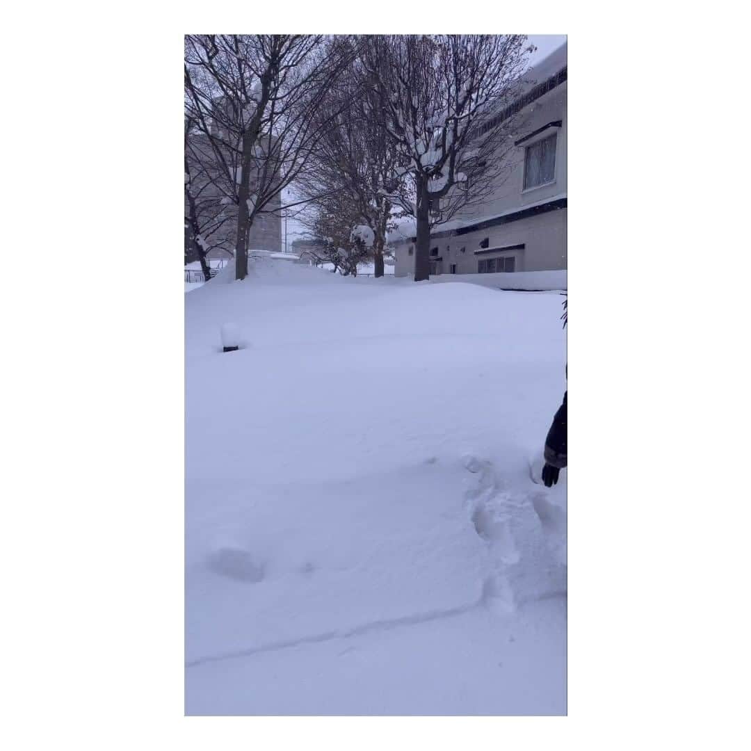 吉田羊のインスタグラム：「snow! snow! snow!」