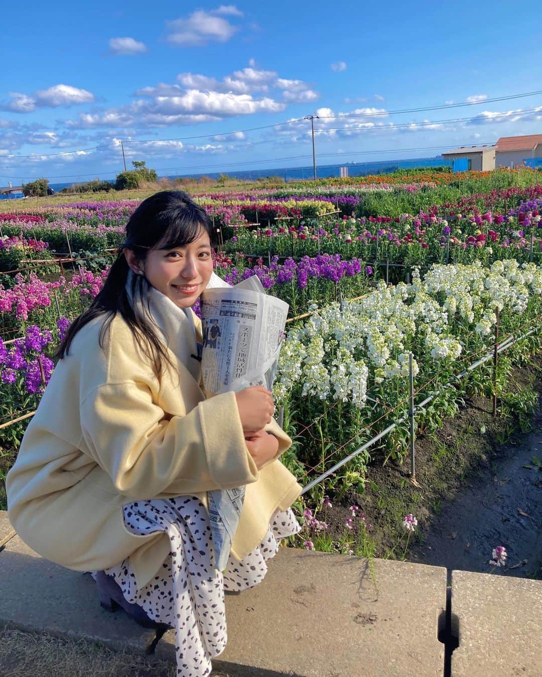 のインスタグラム：「💐  千葉県南房総市の白間津お花畑✨ 大寒波で寒い日が続いていますが 今まさに見ごろを迎えています💓  お花摘みもできてしかも、驚きの価格🥺 毎月お花を生けている白戸からしたら 天国のような空間でした🌼  このあとのテレビ東京 #よじごじdays にて放送しますので ぜひごらんください〜！！  #ちえこおばあちゃん #かわいいし優しい みんなも会いに行ってみてね😘」
