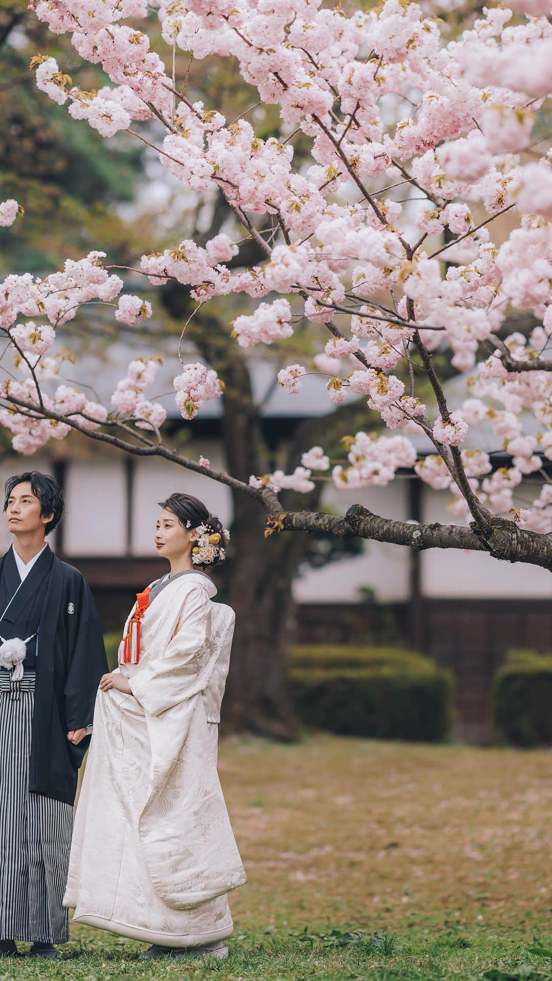 衣装館・フォトスタジオ ブランシェリーのインスタグラム：「. 県内外のプレ花嫁さんから人気の桜ロケーション🌸 土日はご予約が埋まりやすくなっております 満開の時期も僅かな期間になりますのでお気軽にお問い合わせください🌸  もっとお写真が見たい方はコチラ⇒(@blancherie_iwata)🎵  #岩田写真 #blancherie #ブランシェリー #秋田県 #写真スタジオ #ブライダルフォト #全国の花嫁さんと繋がりたい #ウエディングフォト #結婚式前撮り #フォトウェディング #ブライダルフォトブランシェリー #完全予約制 #写真だけの結婚式 #フォト婚 #婚礼写真 #プレ花嫁 #プレ花嫁さんと繋がりたい #秋田プレ花嫁 #2022結婚式 #令和4年婚 #卒花嫁 #結婚式 #和装婚 #ウェディングドレス #完全予約制 #フォトスタジオ #ブランシェリー盛岡 #盛岡スタジオ #盛岡写真館」