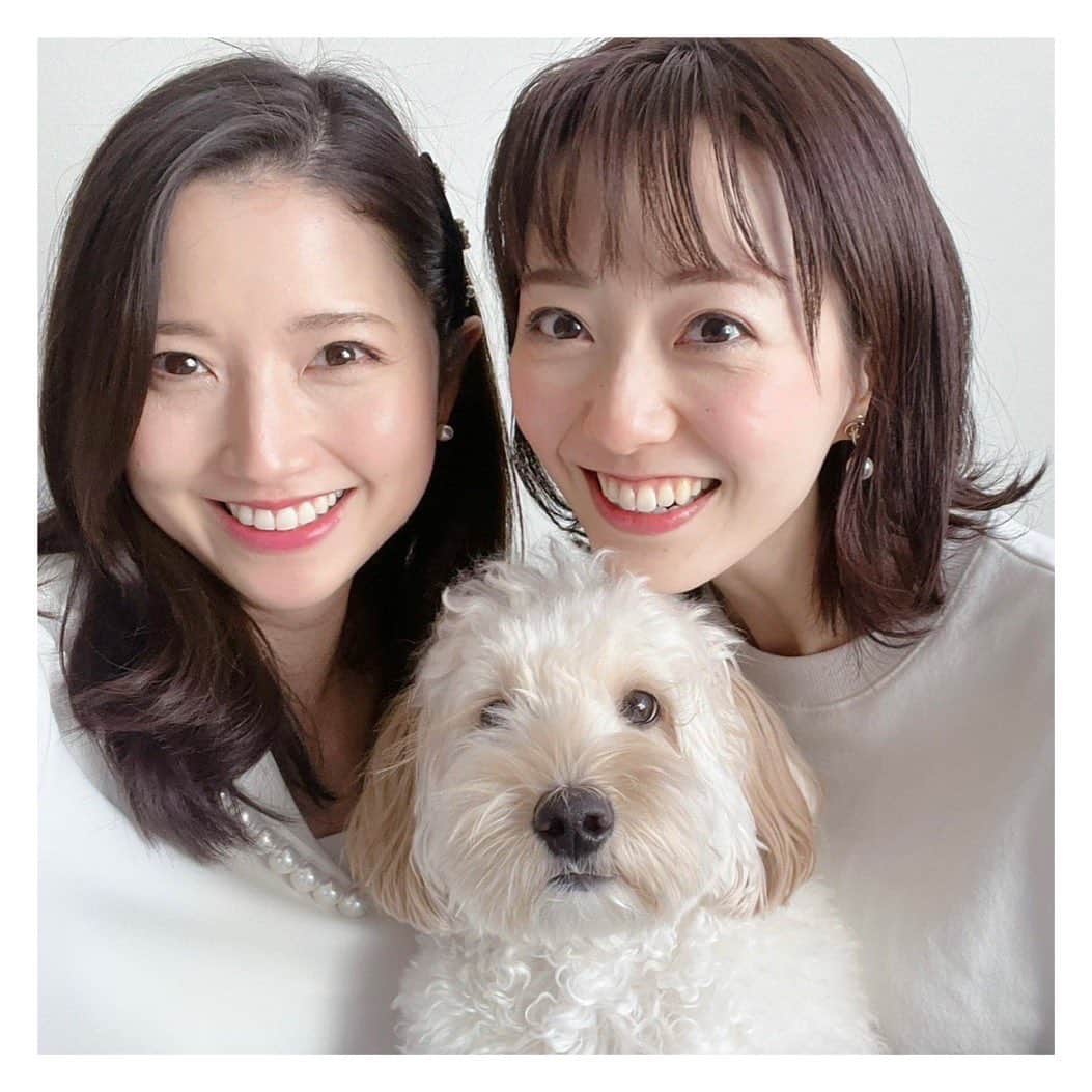 三田友梨佳のインスタグラム：「✳︎ 先日内田アナと久しぶりに会えました。 我が家の愛犬ぱるむも内田ちゃんのことが大好き♡ 終始大興奮でした🤭 #内田嶺衣奈アナ」