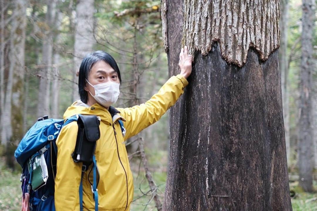 山本寛斎さんのインスタグラム写真 - (山本寛斎Instagram)「WWD JAPAN WEBで連載中の高谷健太 @i_am_kenchang のコラム第10回が公開されました。 北海道・阿寒の森を舞台に森林の現状と伝統的なアイヌの教えをヒントにファッションにできることを模索する過程を前後編に分けて紹介します！  ＊＊＊＊＊＊＊＊＊＊＊＊＊＊＊＊＊＊＊＊＊＊ ファッションデザイナー 高谷健太と巡る  "ときめき、ニッポン。"  第10回　円環する阿寒の森（前編）  https://www.wwdjapan.com/articles/1486893  ＊＊＊＊＊＊＊＊＊＊＊＊＊＊＊＊＊＊＊＊＊＊  #ファッション #地方 #北海道 #阿寒 #アイヌ #エゾシカ #akanleather_yuk #wwd #wwdjapan」1月27日 17時20分 - kansai_yamamoto_official