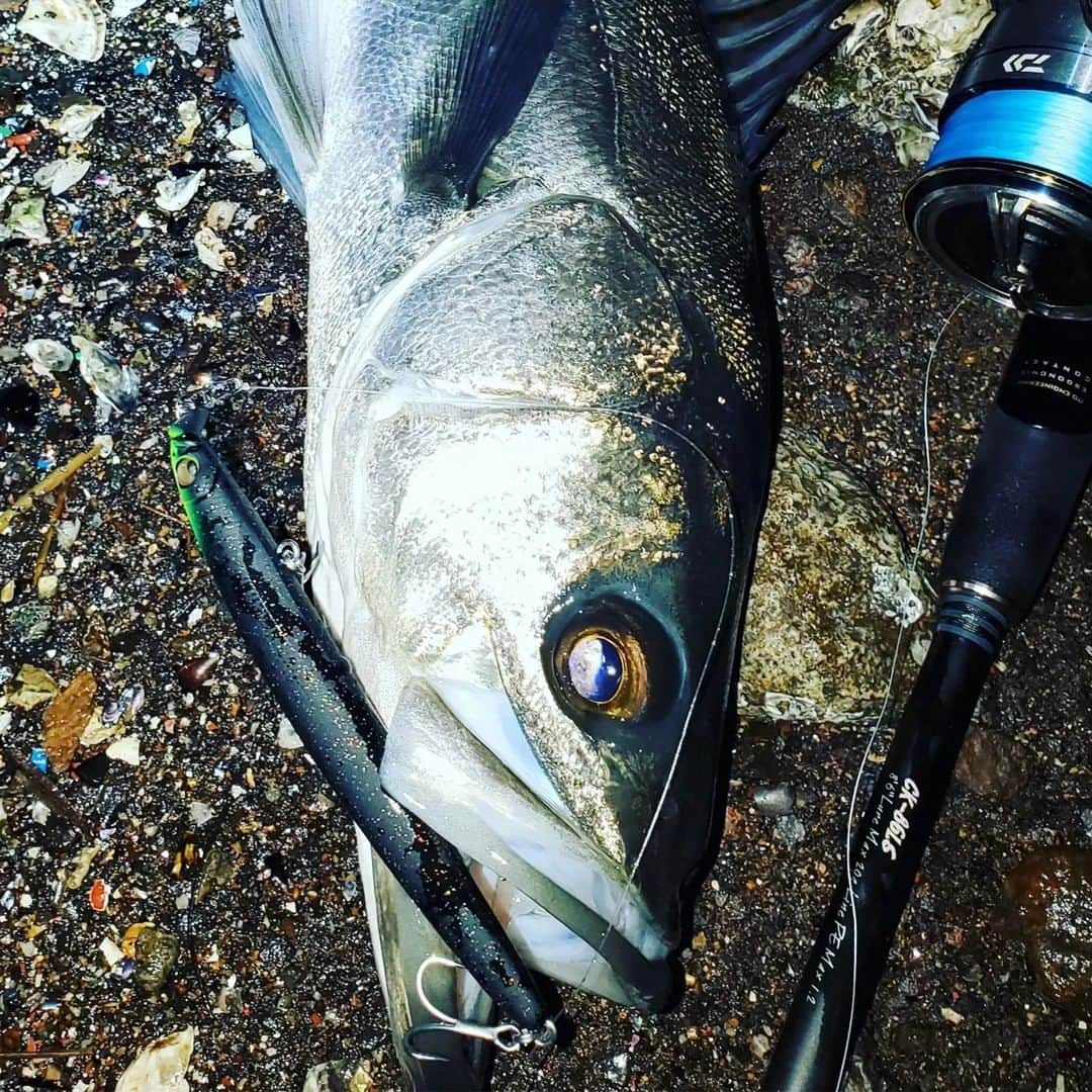 Megabass Inc.さんのインスタグラム写真 - (Megabass Inc.Instagram)「「バチ・パターン」・「サヨリ・パターン」Wアジャスト！ VATISSA93F / VATISSA115F(バティッサ) デリバリー開始！  https://www.megabass.co.jp/site/tag/vatissa/ #Megabass #Vatissa #Vatissa115F #vatissa93F #YukiIto #メガバス #バチパターン #サヨリパターン #伊東由樹」1月27日 17時41分 - megabass_inc