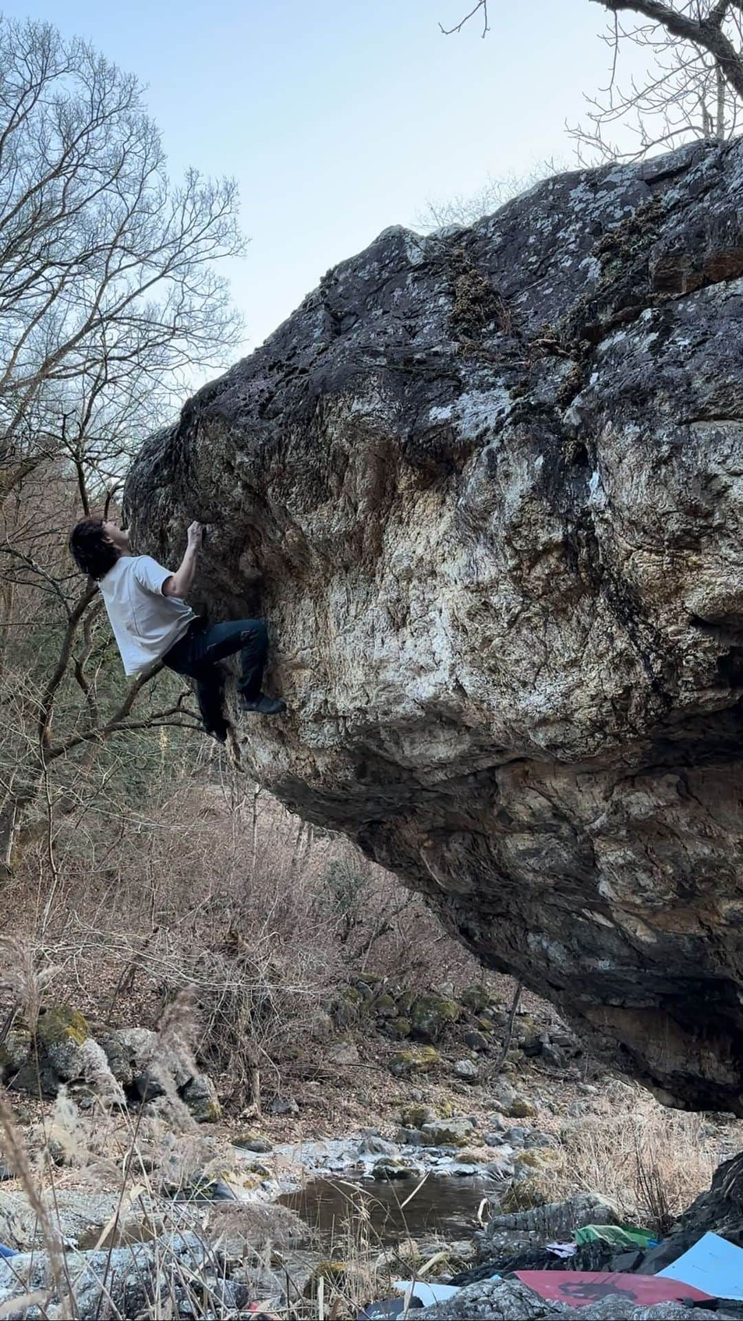 野村真一郎のインスタグラム：「Cryptochild V11✔️ 2023.01.22 FA @yuji_hirayama_stonerider   This boulder is pretty tall. Insane boulder🇯🇵  ユージさん @yuji_hirayama_stonerider さん初登ほ日本では珍しいハイボルダー。 ハイボルダーでありつつ後半核心で更に下地が岩だらけなので、リップ取りは結構痺れた。 すっぽ抜けで落ちたら確実に折れる。 今年は海外でハイボルダーをやる予定もあるので、高さにはどんどん慣れていかないと！  📸: @naoki__shimatani @rokdo_team @monturajapan @montura_official @unparallelup @rockmasterhq_caravan @frictionlabs @project_daihold @clover_resole @hamasakichiryoin0929」