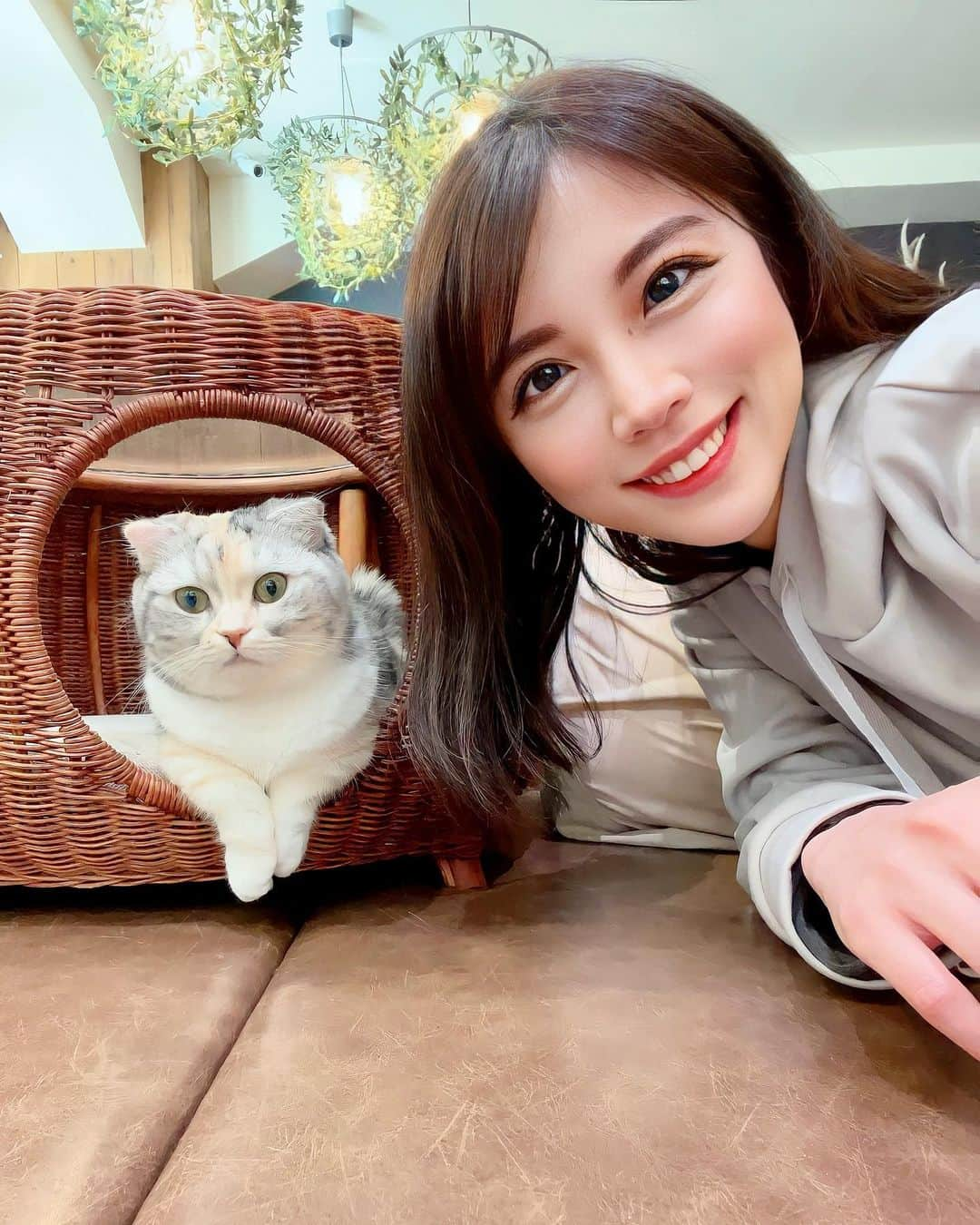 吉田早織のインスタグラム：「猫カフェMOCHA池袋東口店に行ってきたよ🐱💕  みんな毛並みが良くて、かわいかったー😆😆  店内は広くて、漫画もたくさんあるしゲーム機もあった！ ベッドやソファやテーブルと豊富にあって ゴロゴロしてる人、勉強してる人、作業してる人と色々いたよ🥰  今回はオヤツあげなかったけど人懐っこい子もいて十分一緒に遊んでもらえた🐱❤️  漫画読みながら猫と戯れて癒されました🙌❣️  PR @catcafemocha #猫カフェmocha #猫カフェ #東京猫カフェ #池袋猫カフェ #池袋カフェ #癒しスポット #ねこカフェ #猫　#ペット　#cat #pet #ferret #フェレット  #follow#followme#インフルエンサー#followforfollowback#いいね返し#likeforlikes #like4likes #follow4followback #いいね返し」