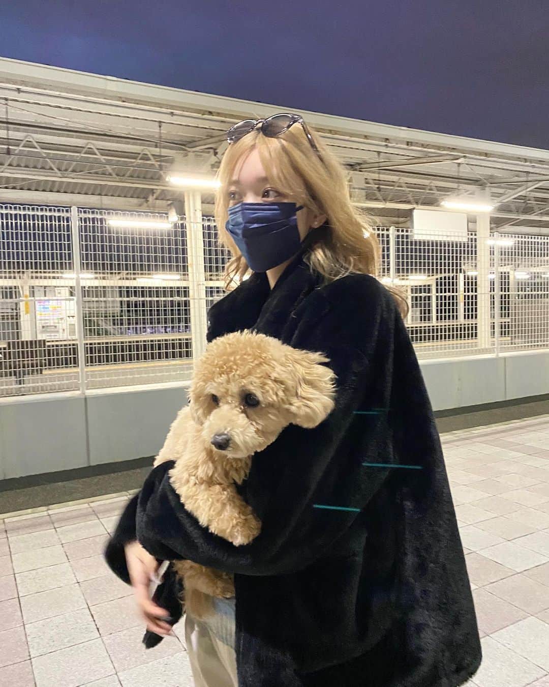 のインスタグラム：「Ravi chan🐶 髪色おそろち」