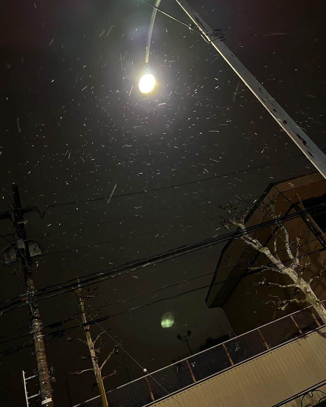 伊藤純奈さんのインスタグラム写真 - (伊藤純奈Instagram)「雪が嬉しくて久々に自撮りしてみたけど 何もうつらなくて悲しい」1月27日 21時12分 - junna_ito_official