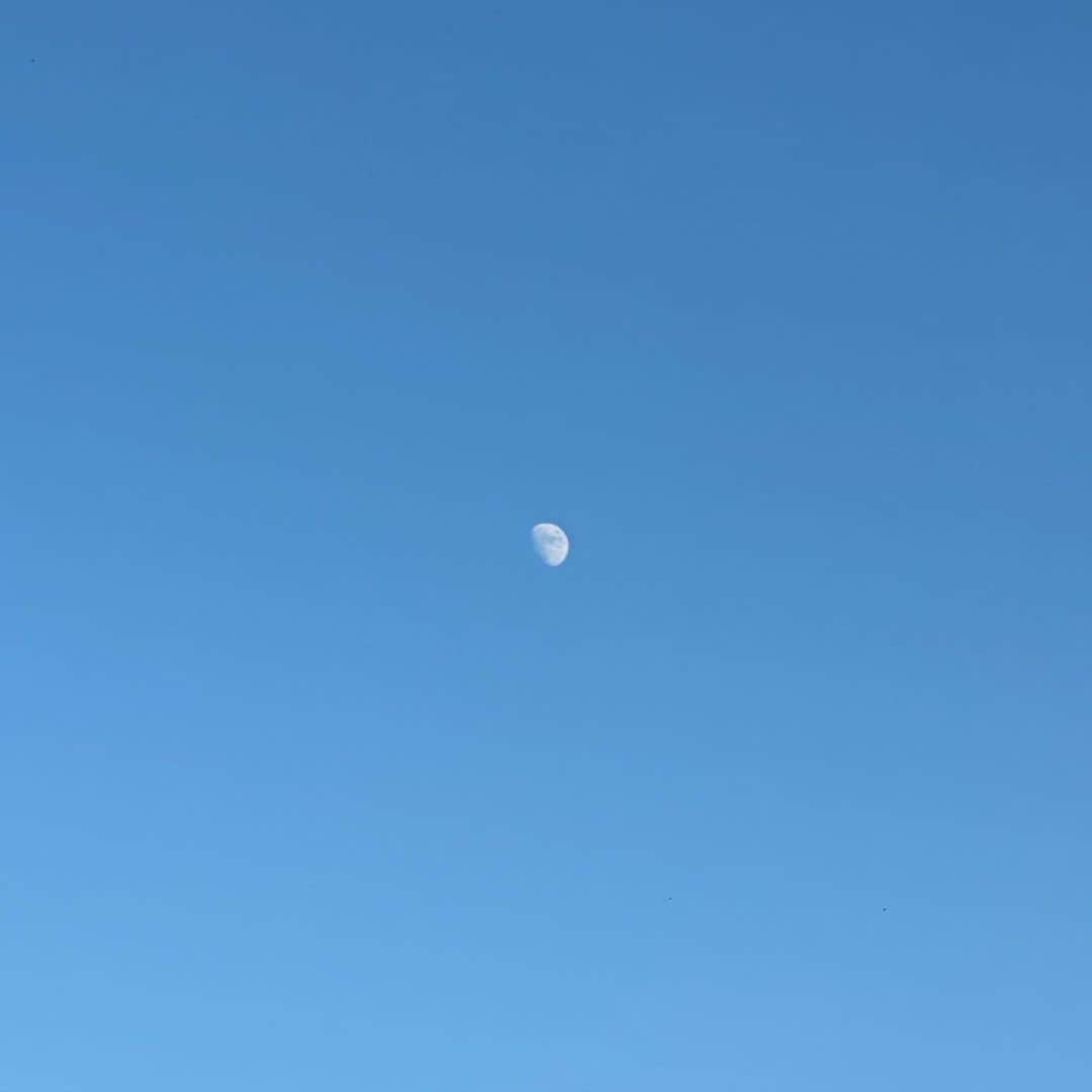 長野凌大のインスタグラム：「🌙 　 　 　 　 　 　 　  　 　 　 　  　 　 　 　  　  #無限シニシズム #原因は自分にある 。 #長野凌大」