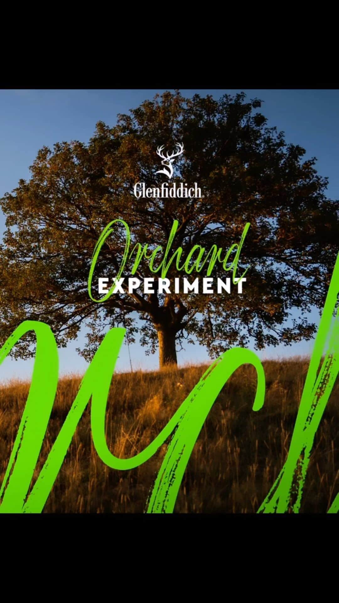Glenfiddichのインスタグラム：「Brian Kinsman, our Malt Master, is always looking to shake things up in the world of whisky. So when he wanted to celebrate and elevate the Glenfiddich sweet and fruity signature style for experiment No.5, he naturally took an unexpected path.  Hear what Brian has to say about our latest experimental release.  Tap link in bio to find out more.  Skilfully crafted. Enjoy responsibly.  #Glenfiddich #OrchardExperiment #singlemalt #whisky」
