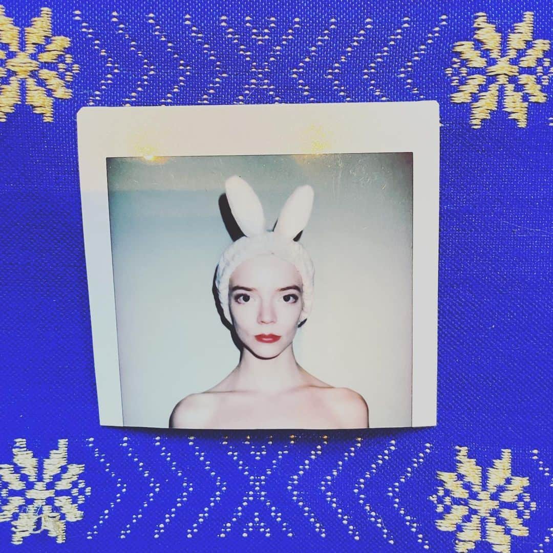 のインスタグラム：「🐰Hola Miami🐰」