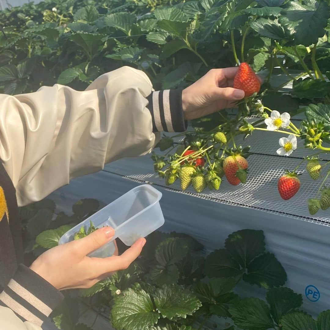 村田えれなのインスタグラム