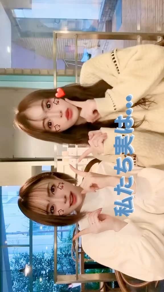 サキ吉のインスタグラム