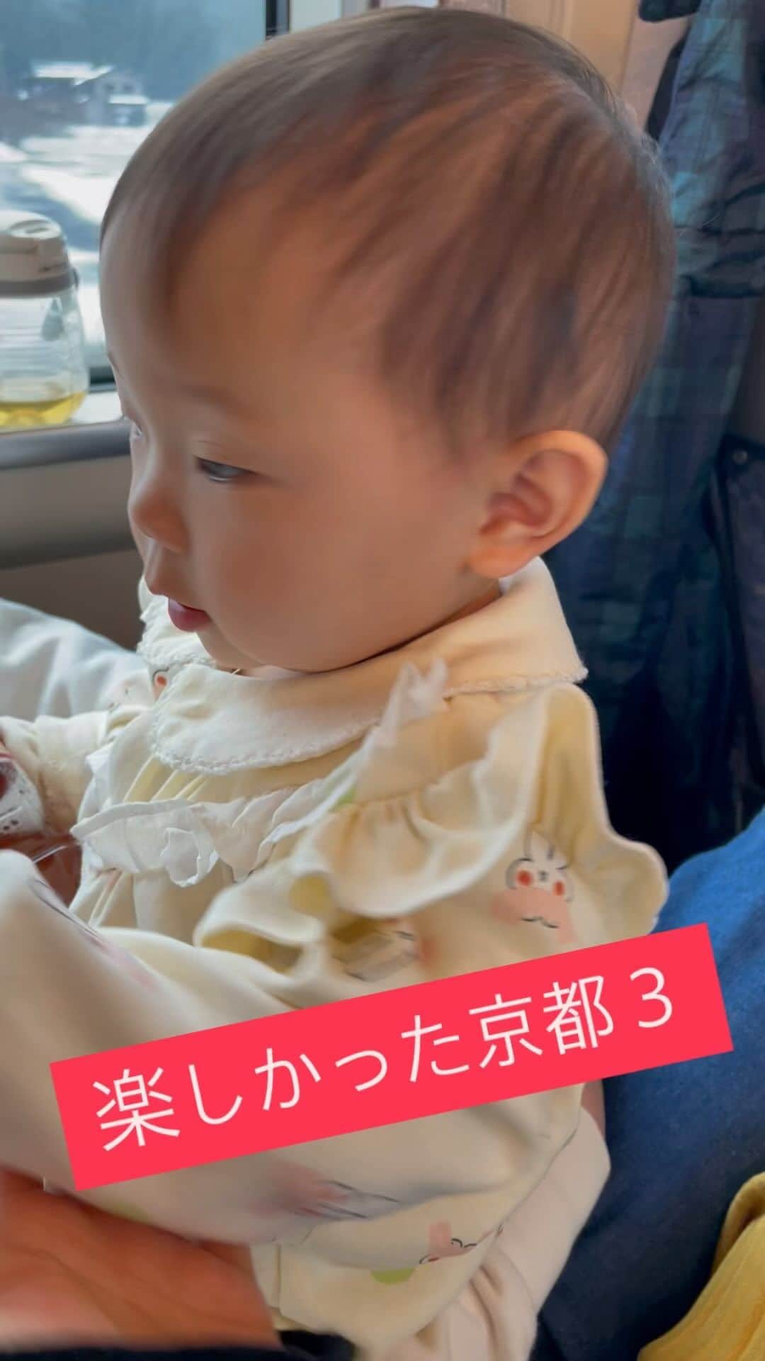 浜名ランチのインスタグラム：「京都からみんなで家族旅行に行く途中✨ パパにペットボトルを叩きつける娘偏 #浜名ランチ #米ちゃん #育児」