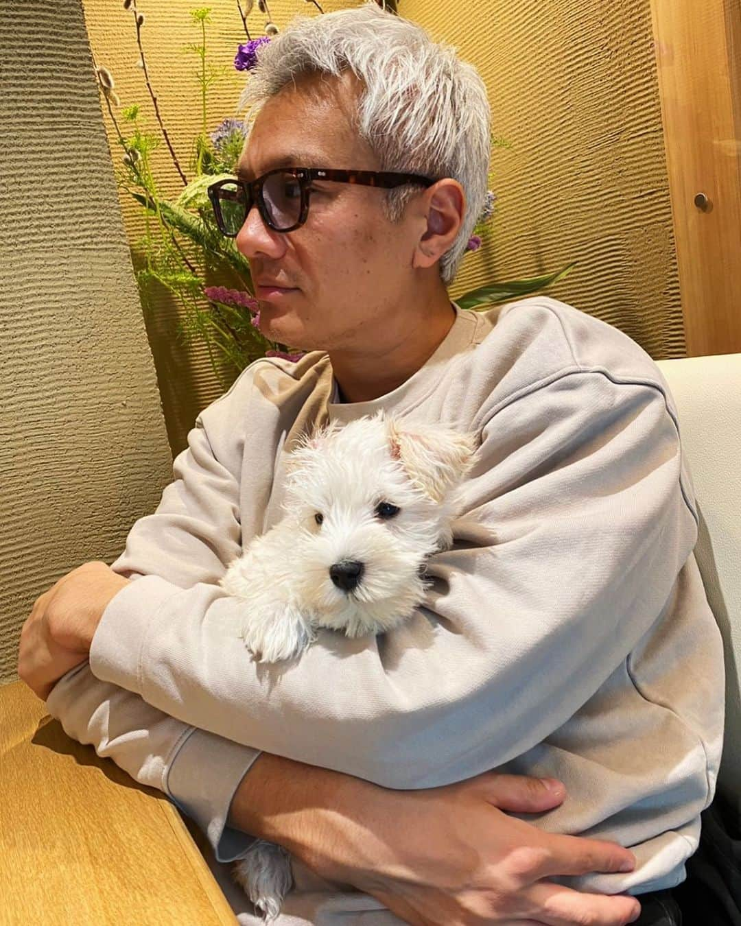 押尾学さんのインスタグラム写真 - (押尾学Instagram)「💕🐶💕 #lunch #doglover」1月28日 14時56分 - manabuoshio_official