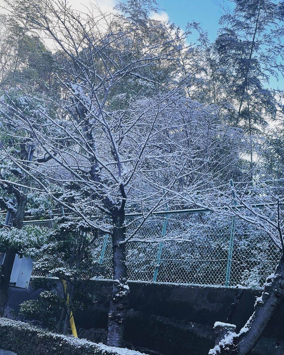 細田采花のインスタグラム：「雪が凄い…大阪とは思えない…」