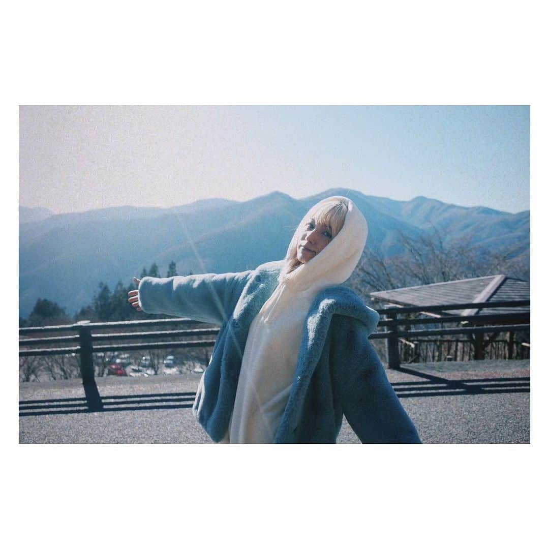 MAMIさんのインスタグラム写真 - (MAMIInstagram)「いつかのねこぜフォト⛰ . . . 初めて三峯神社いった🚗 癒し空間🌳🥹 氷柱も見に行った🧊 異空間🥹🌊 . 📸 @nekoze_photo」1月28日 15時44分 - mmts_dayo