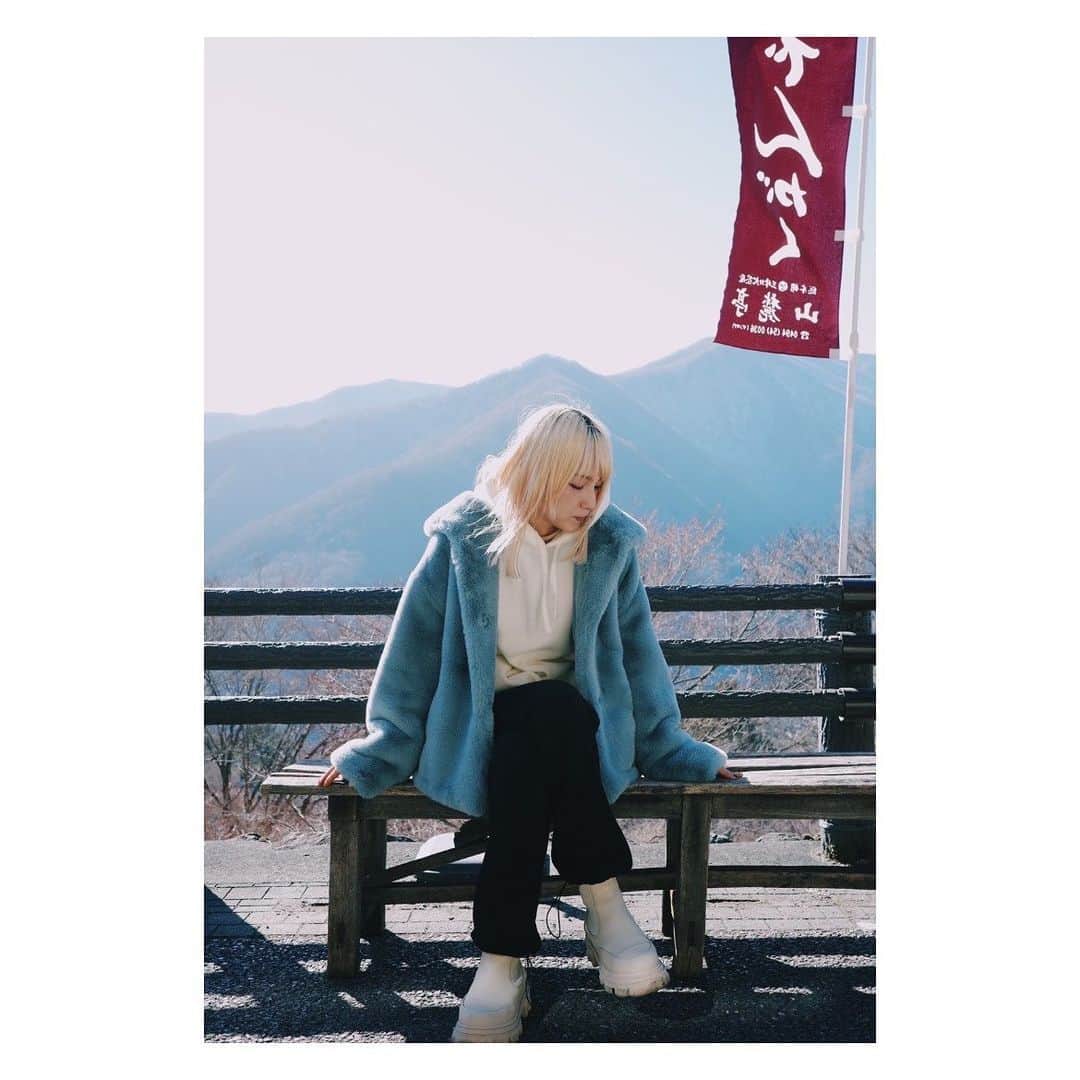 MAMIのインスタグラム：「いつかのねこぜフォト⛰ . . . 初めて三峯神社いった🚗 癒し空間🌳🥹 氷柱も見に行った🧊 異空間🥹🌊 . 📸 @nekoze_photo」