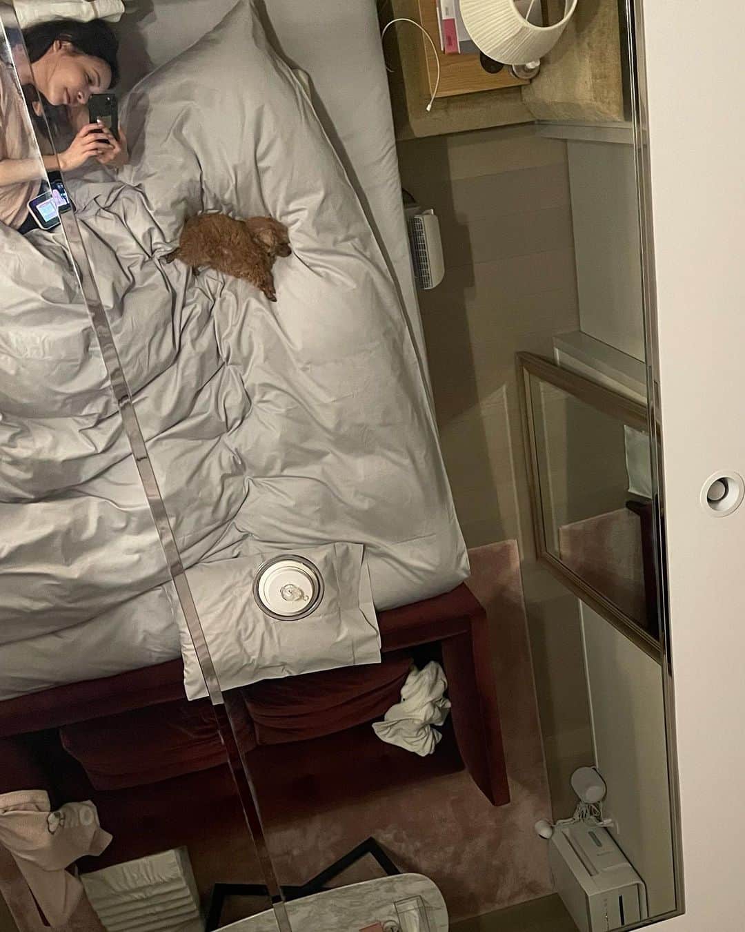 大沢ケイミさんのインスタグラム写真 - (大沢ケイミInstagram)「変な生き物がベッドにいるぞw」1月29日 2時16分 - keimy0609