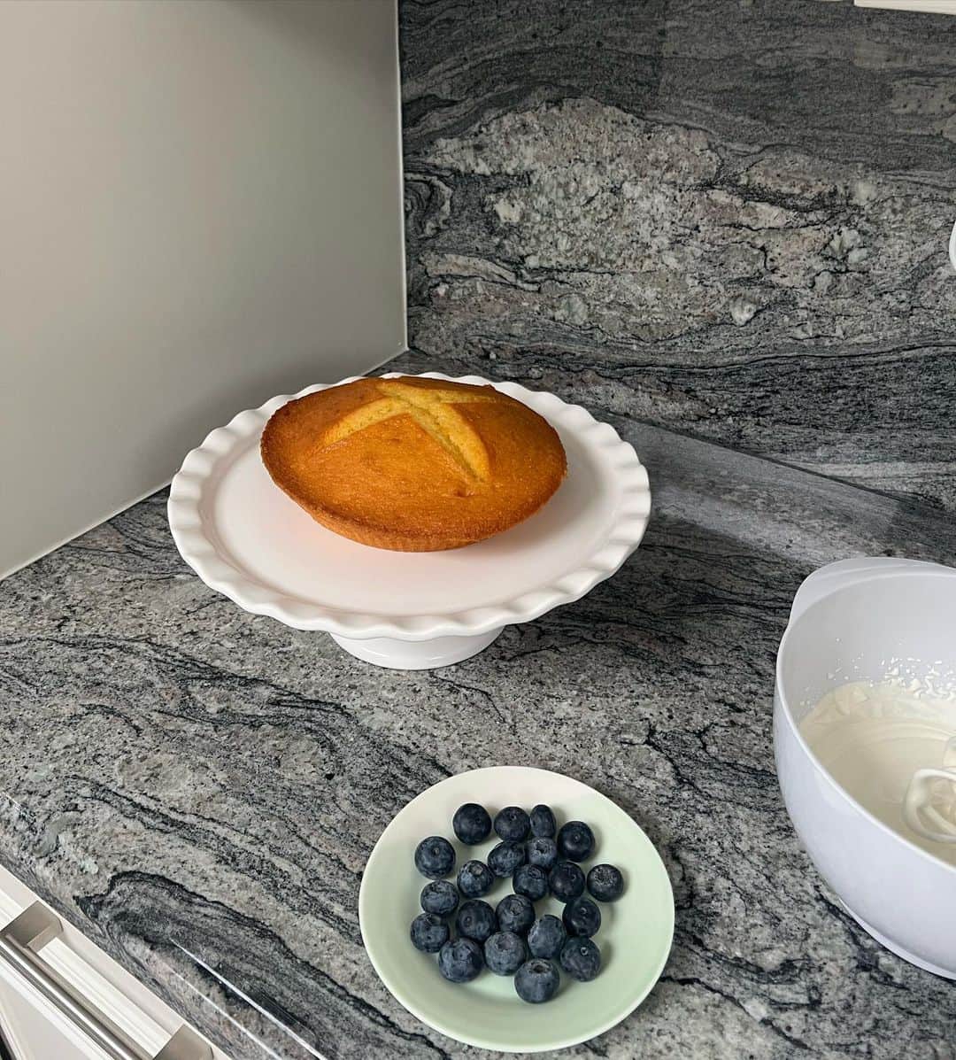 SOPHIE ROSEのインスタグラム：「(〜￣▽￣)〜 give me all the blueberries」
