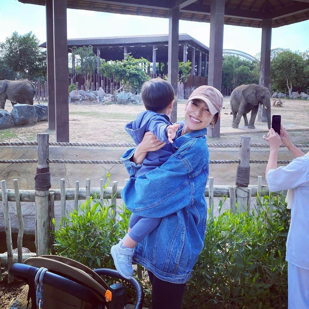 小泉里子のインスタグラム：「週末は動物園。  昔、流行った動物占い… たしか ゾウ🐘だったな。。。  キレると1番怖いとか。笑  #身近な人はお気をつけください」