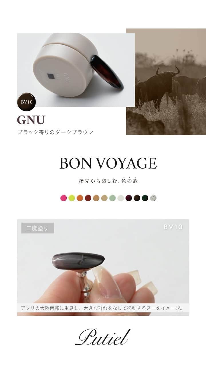 プティール（Putiel) のインスタグラム：「【Putiel Colors🌈 - BON VOYAGE 】  指先から楽しむ、色の旅  #putiel_BV10 GNU／ヌー  アフリカ大陸南部に生息するヌーをイメージ。 大きな群れをなして移動する大迫力の光景から着想した力強く壮大なカラーです。  旅先を選ぶわくわく感のように、“ワンカラーもデザインとして”色選びを楽しんでほしいという思いが詰まった12色。  世界を旅して得られる新しい発見や刺激を、カラーからも感じられるように、1色1にの風景を連想させるカラー名とストーリーを持たせました。  『旅を通して人生が豊かになるように、このシリーズでネイルデザインが豊かになってほしい』そんな願いが込められたシリーズです。  produce by  NAGISA & MARIE  *☼*―――――*☼*―――――*☼*―――――*☼* @putielnail  発色抜群、完全サンディング不要のジェルネイル「プティール」の公式インスタグラムです♡ *☼*―――――*☼*―――――*☼*―――――*☼* . #putiel #nailselect #プティール #nail #ネイル #nailart #ネイルアート #ノンサンディングジェル #gelnails #ジェルネイル #爪に優しいネイル」