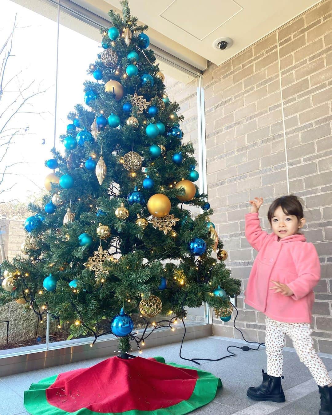 本田麻里絵のインスタグラム：「冬の日本🇯🇵❄️  富士急ハイランド 名古屋 越後湯沢 ...相変わらず予定いっぱい詰め込みw😅  日本にいる時ってバタバタしてるからゆっくり楽しむって感じじゃないけど タイに帰ってくると『やぁ...日本楽しかったなぁ』と噛み締める❤️  タイ-日本の航空券は今9万円くらいなんだけど また昔みたいに値下がりしてもっと行きやすくなるといいなぁ🎶((´∀｀))  日本は住みたくないけど、 頻繁に帰りたくなる母国🇯🇵🗻🍣 （冬場はしばらくいいや💦）  #日本」