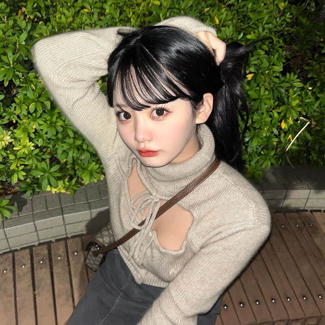 のインスタグラム：「ひめが染めるとしたら何色似合いそう？」