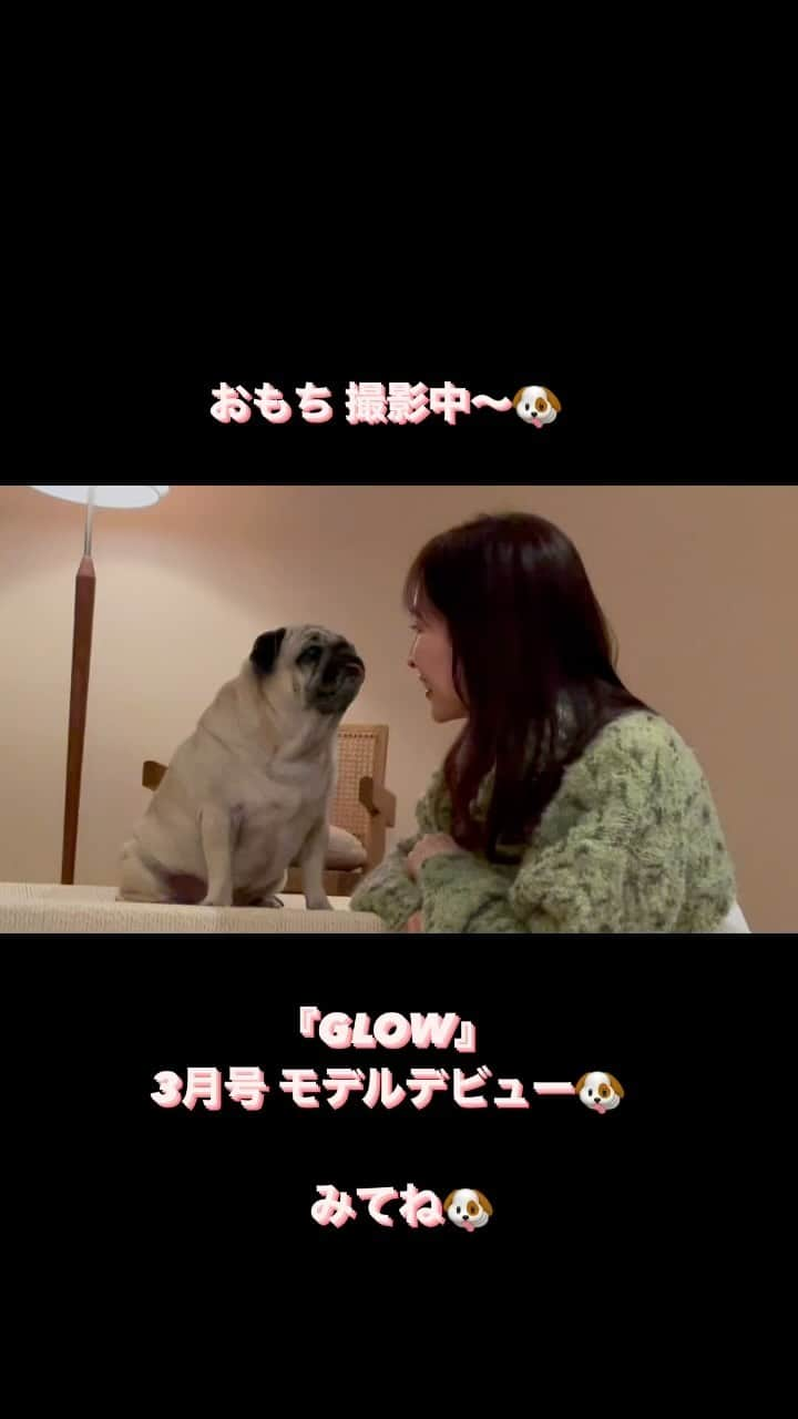 真飛聖のインスタグラム：「『GLOW』3月号  仲良し2人組の 撮影中の様子です🐶📷  @glow_tkj  #GLOW #パグ#pug#女の子 #おもち #もちtube」