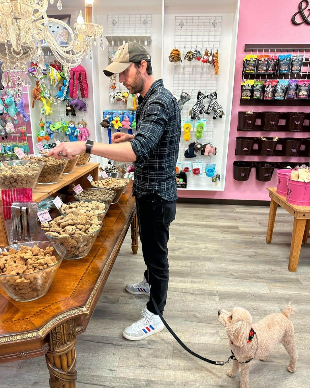 マシュー・ルイスのインスタグラム：「Birthday treats for the birthday boy. Which is odd because I don’t like peanut butter and my birthday is in June.」