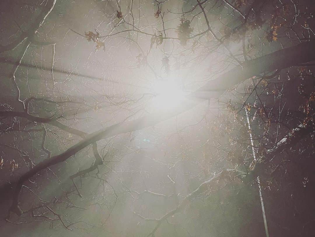 Ka-Naさんのインスタグラム写真 - (Ka-NaInstagram)「Happy New Year!!! How are you all? How was your New Year’s Day? I made and ate Soba on the New Year’s Eve and went to see fireworks at Prospect Park with my friend and family :) Also, I made Mochi-soup(it’s called “お雑煮 ozouni” in Japanese) on the New Year’s Day, and the next day, we went to see Opera “The Magic Flute” at Met Opera! Beside, today is my Birthday :) I turned 40 today!!! My husband and son celebrated my birthday. I am really really happy and lucky to have them! Anyway, wishing you all a wonderful and beautiful 2023!!! Let’s have fun this year as well ;) 今年もよろしくお願いしまーす♪    #植村花菜#kanauemura#ka-na ny#newyork#ニューヨーク#newyorklife#singersongwriter#シンガーソングライター#guitar#ギター#acousticguitar#アコースティックギター#japanese#japanesepops#jpop#happynewyear#年越しそば#お雑煮#opera」1月5日 6時34分 - kanajpop