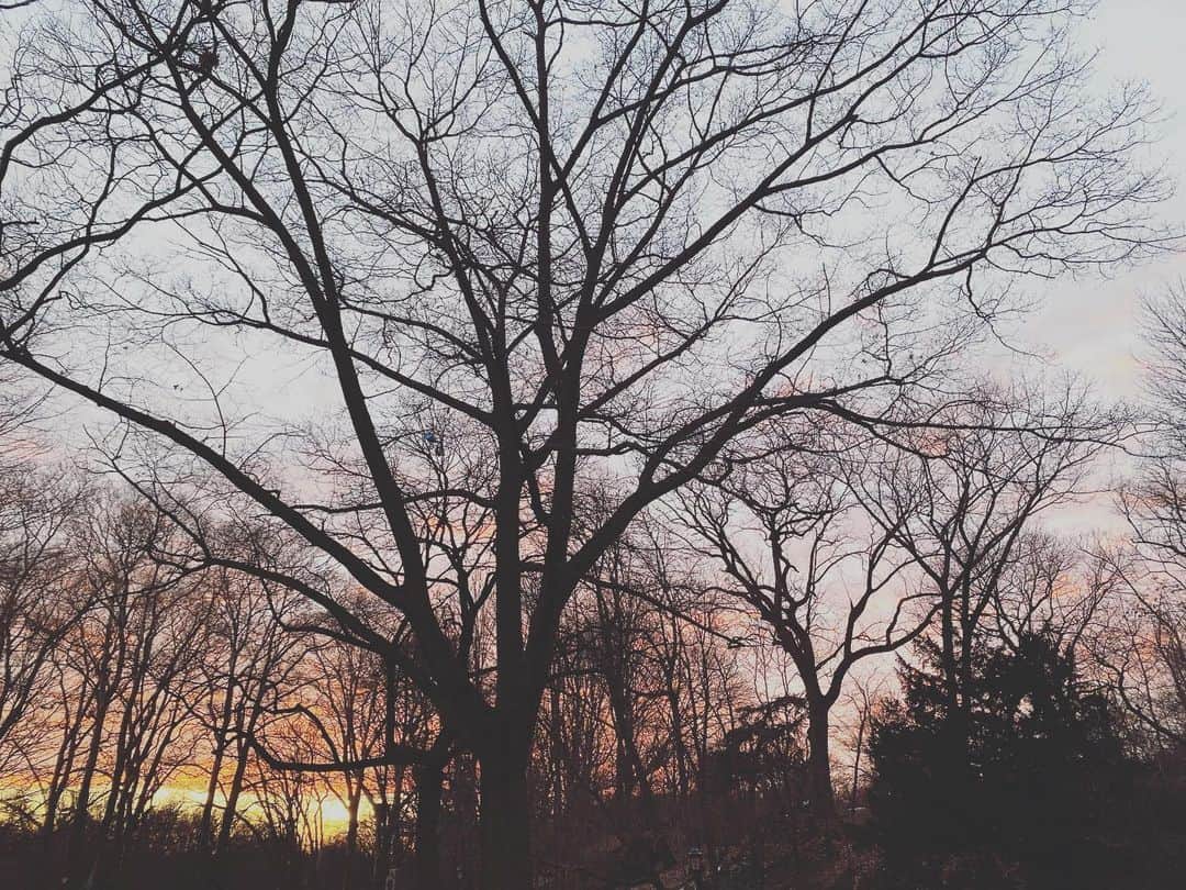 Ka-Naさんのインスタグラム写真 - (Ka-NaInstagram)「Happy New Year!!! How are you all? How was your New Year’s Day? I made and ate Soba on the New Year’s Eve and went to see fireworks at Prospect Park with my friend and family :) Also, I made Mochi-soup(it’s called “お雑煮 ozouni” in Japanese) on the New Year’s Day, and the next day, we went to see Opera “The Magic Flute” at Met Opera! Beside, today is my Birthday :) I turned 40 today!!! My husband and son celebrated my birthday. I am really really happy and lucky to have them! Anyway, wishing you all a wonderful and beautiful 2023!!! Let’s have fun this year as well ;) 今年もよろしくお願いしまーす♪    #植村花菜#kanauemura#ka-na ny#newyork#ニューヨーク#newyorklife#singersongwriter#シンガーソングライター#guitar#ギター#acousticguitar#アコースティックギター#japanese#japanesepops#jpop#happynewyear#年越しそば#お雑煮#opera」1月5日 6時34分 - kanajpop