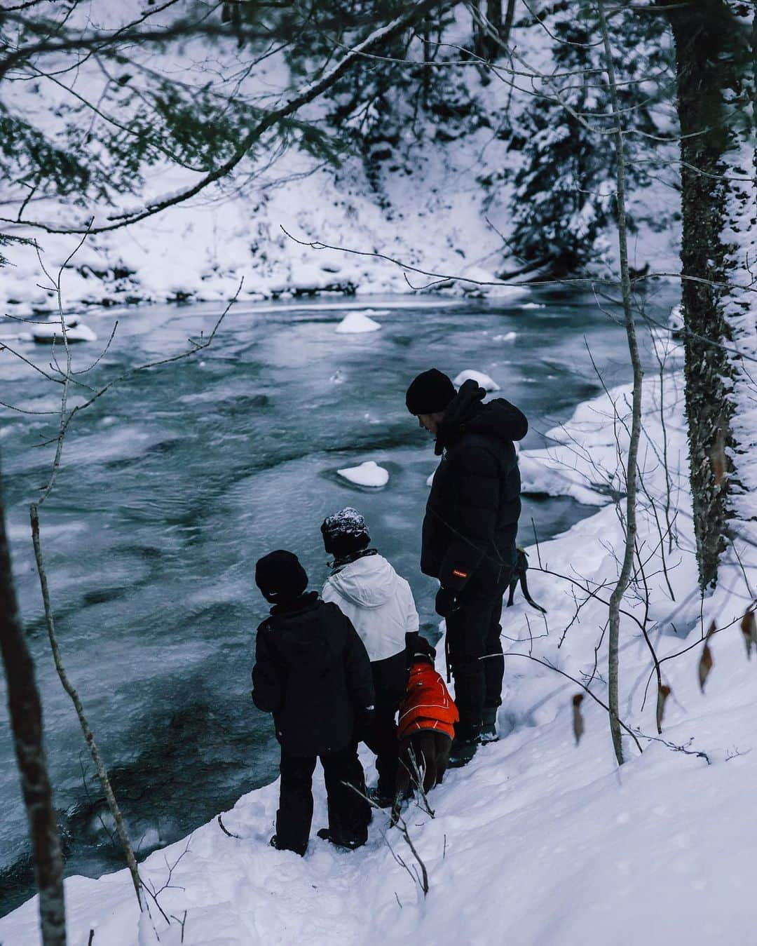 アルフレッド・モラレスさんのインスタグラム写真 - (アルフレッド・モラレスInstagram)「Off season recap 🌊🏔️💭」1月5日 7時19分 - alfredo1008