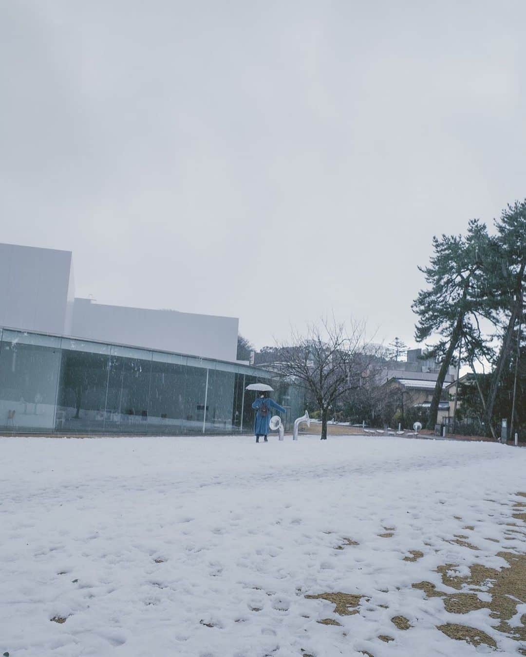 野村麻衣子のインスタグラム：「. 友達がとってくれた雪景色の写真お気に入りなんだ⛄️  雪への憧れ📚」