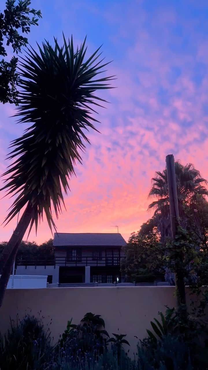 のインスタグラム：「🌅 #sunset #plettenberg」