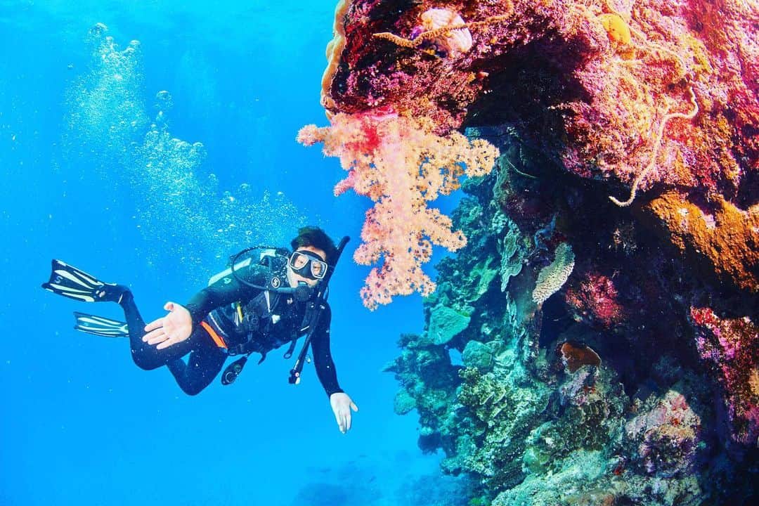 瀬戸大也さんのインスタグラム写真 - (瀬戸大也Instagram)「地球のエネルギーを感じて来ました🌏 世界最大の珊瑚礁グレートバリアリーフにて🐠  ジャックさんとバディは心強すぎましたありがとうございます🙏  Photo by @jackfukushima  #greatbarrierreef #scubadiving」1月5日 21時53分 - daiya_seto