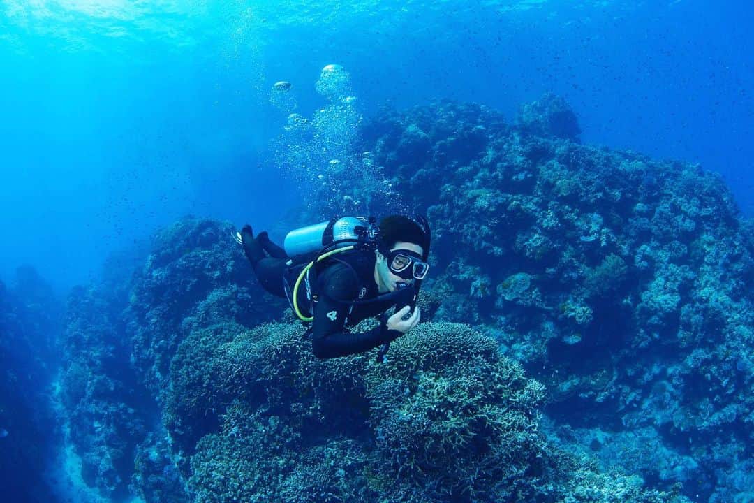 瀬戸大也さんのインスタグラム写真 - (瀬戸大也Instagram)「地球のエネルギーを感じて来ました🌏 世界最大の珊瑚礁グレートバリアリーフにて🐠  ジャックさんとバディは心強すぎましたありがとうございます🙏  Photo by @jackfukushima  #greatbarrierreef #scubadiving」1月5日 21時53分 - daiya_seto