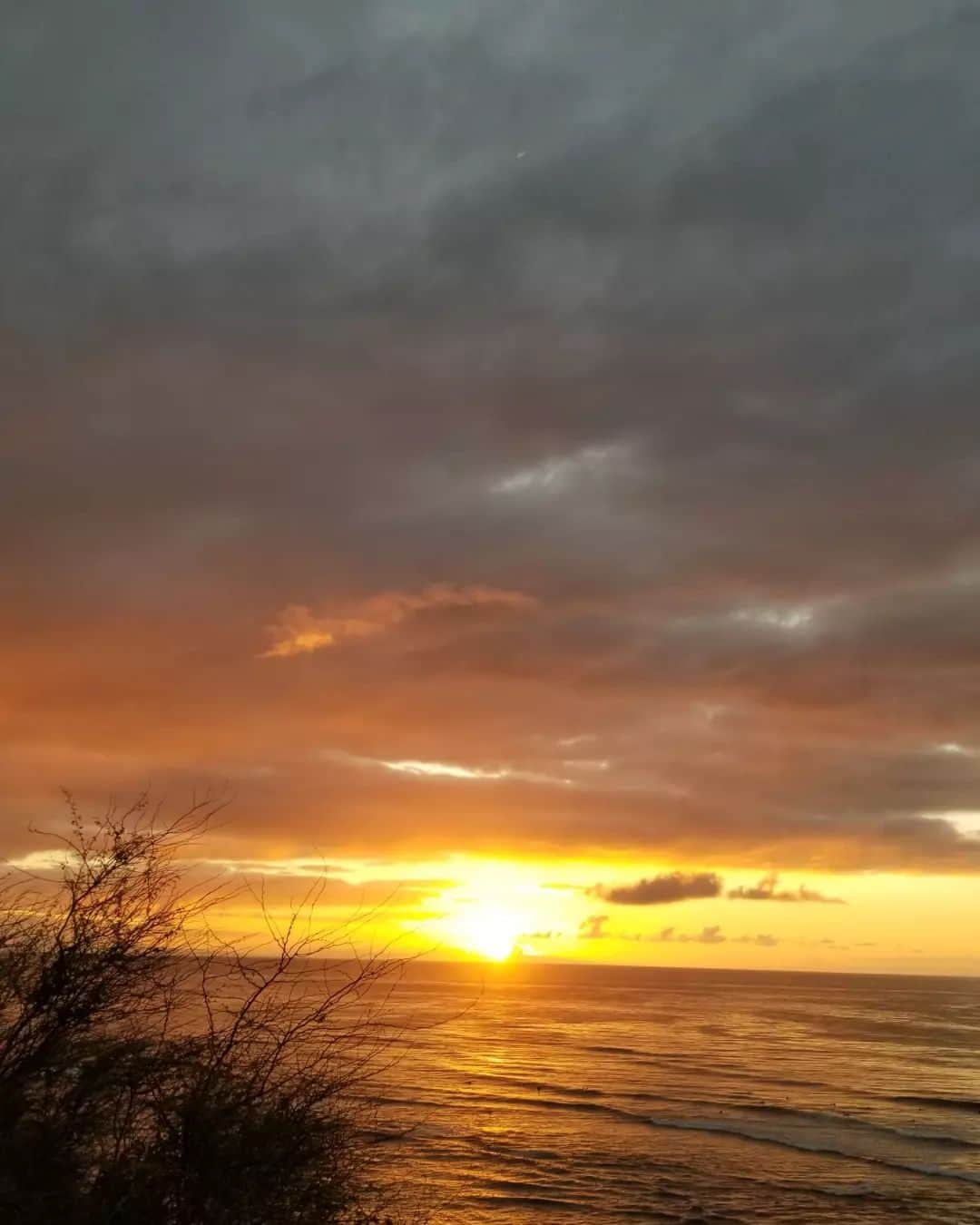 瀬川慶さんのインスタグラム写真 - (瀬川慶Instagram)「Happy New Year 2023! So blessed to see the beautiful Sunrise from Diamond Head. 明けましておめでとうございます！久しぶりのサンライズ、しかも初日の出！無事に新年迎えられた事に感謝！今年も良い年になると信じて、いや、いい年になった！と過去形で断言。　今年もよろしくお願いします！  #hawaii #aloha #happynewyear2023 #diamondhead #sunrise #ハワイ　#明けましておめでとう#ダイヤモンドヘッド　#初日の出　#ハワイのサンライズ　#2023　#感謝しかない　#ハワイ好きな人と繋がりたい　#ハワイ在住」1月5日 21時57分 - kei.segawa