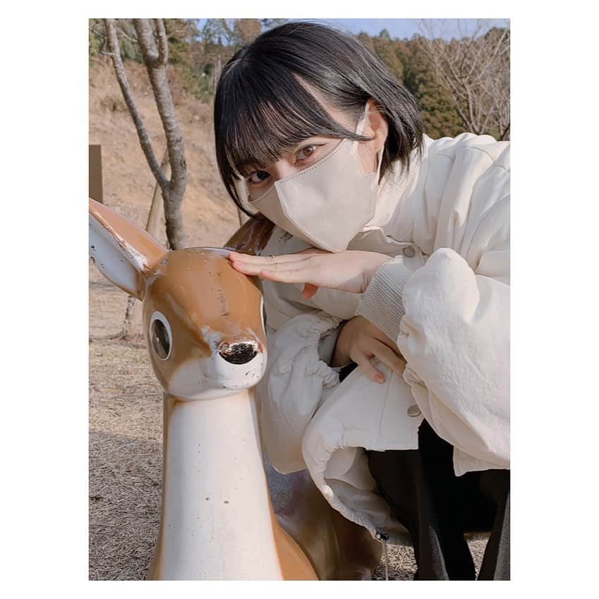 冨田菜々風のインスタグラム：「.  初詣に行ったのにそれっぽい写真は撮らず(忘れてた)鹿の置物くんとの写真しか撮ってませんでしたあああ…🦌」