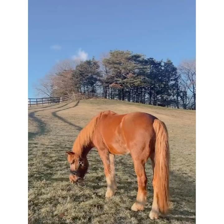紗栄子のグルメインスタ
