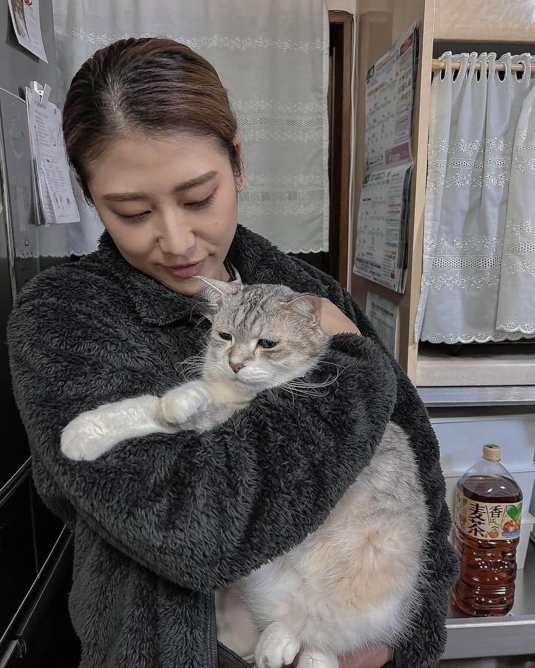 Kumiのインスタグラム：「. デブに映しちゃってごめんね🐱 鏡餅みたいだね🍊 . あと何回会えるかな…🐱 . . . #実家　#愛猫　#16歳 #おじいちゃん猫 #ふてぶてしい #雑種猫 #カメラ向けると不機嫌　#絶対笑わない」